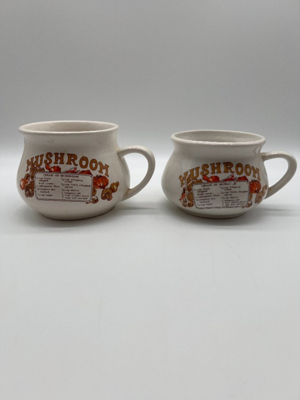 Set Of 2 Vintage Mushroom Soup Recipe Serving Bowls with Handle Collectible